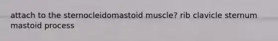 attach to the sternocleidomastoid muscle? rib clavicle sternum mastoid process