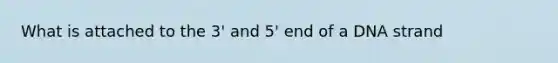 What is attached to the 3' and 5' end of a DNA strand