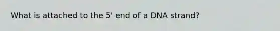 What is attached to the 5' end of a DNA strand?