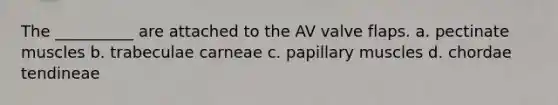 The __________ are attached to the AV valve flaps. a. pectinate muscles b. trabeculae carneae c. papillary muscles d. chordae tendineae