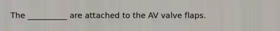 The __________ are attached to the AV valve flaps.