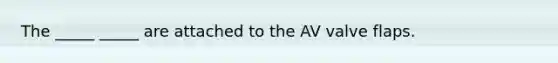 The _____ _____ are attached to the AV valve flaps.
