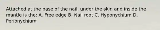 Attached at the base of the nail, under the skin and inside the mantle is the: A. Free edge B. Nail root C. Hyponychium D. Perionychium