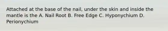 Attached at the base of the nail, under the skin and inside the mantle is the A. Nail Root B. Free Edge C. Hyponychium D. Perionychium