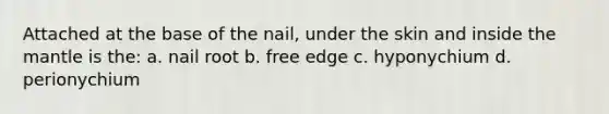 Attached at the base of the nail, under the skin and inside the mantle is the: a. nail root b. free edge c. hyponychium d. perionychium