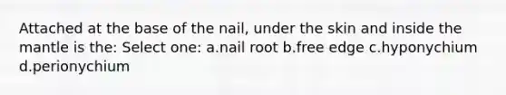 Attached at the base of the nail, under the skin and inside the mantle is the: Select one: a.nail root b.free edge c.hyponychium d.perionychium