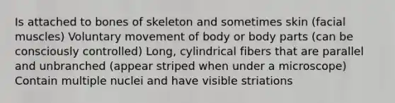 Is attached to bones of skeleton and sometimes skin (facial muscles) Voluntary movement of body or body parts (can be consciously controlled) Long, cylindrical fibers that are parallel and unbranched (appear striped when under a microscope) Contain multiple nuclei and have visible striations