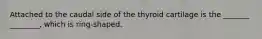 Attached to the caudal side of the thyroid cartilage is the _______ ________, which is ring-shaped.