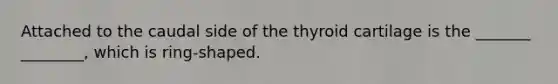 Attached to the caudal side of the thyroid cartilage is the _______ ________, which is ring-shaped.