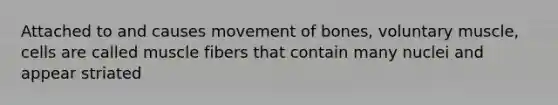 Attached to and causes movement of bones, voluntary muscle, cells are called muscle fibers that contain many nuclei and appear striated