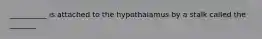 __________ is attached to the hypothalamus by a stalk called the _______