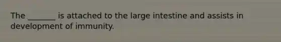 The _______ is attached to the large intestine and assists in development of immunity.