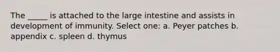 The _____ is attached to the large intestine and assists in development of immunity. Select one: a. Peyer patches b. appendix c. spleen d. thymus