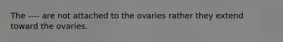 The ---- are not attached to the ovaries rather they extend toward the ovaries.