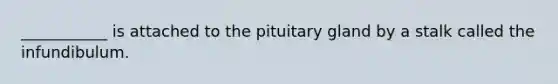 ___________ is attached to the pituitary gland by a stalk called the infundibulum.