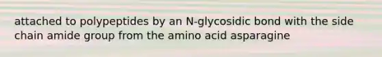 attached to polypeptides by an N-glycosidic bond with the side chain amide group from the amino acid asparagine