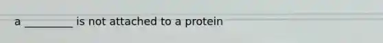 a _________ is not attached to a protein