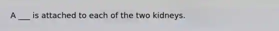 A ___ is attached to each of the two kidneys.