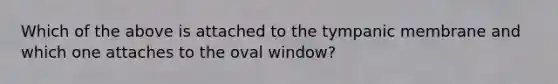 Which of the above is attached to the tympanic membrane and which one attaches to the oval window?