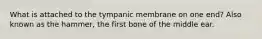 What is attached to the tympanic membrane on one end? Also known as the hammer, the first bone of the middle ear.