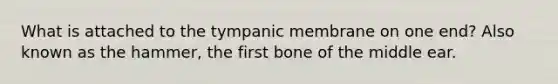 What is attached to the tympanic membrane on one end? Also known as the hammer, the first bone of the middle ear.