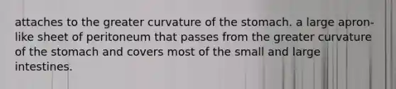 attaches to the greater curvature of the stomach. a large apron-like sheet of peritoneum that passes from the greater curvature of the stomach and covers most of the small and large intestines.