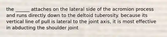 the ______ attaches on the lateral side of the acromion process and runs directly down to the deltoid tuberosity. because its <a href='https://www.questionai.com/knowledge/k6j3Z69xQg-vertical-line' class='anchor-knowledge'>vertical line</a> of pull is lateral to the joint axis, it is most effective in abducting the shoulder joint