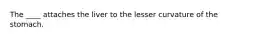 The ____ attaches the liver to the lesser curvature of the stomach.