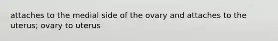 attaches to the medial side of the ovary and attaches to the uterus; ovary to uterus