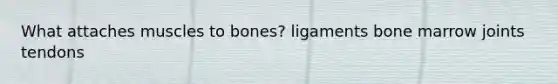 What attaches muscles to bones? ligaments bone marrow joints tendons