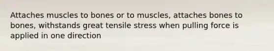 Attaches muscles to bones or to muscles, attaches bones to bones, withstands great tensile stress when pulling force is applied in one direction