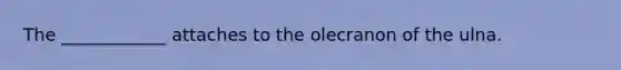 The ____________ attaches to the olecranon of the ulna.