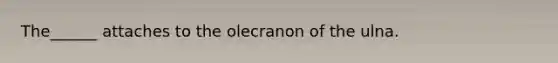 The______ attaches to the olecranon of the ulna.