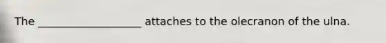 The ___________________ attaches to the olecranon of the ulna.