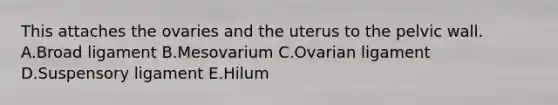 This attaches the ovaries and the uterus to the pelvic wall. A.Broad ligament B.Mesovarium C.Ovarian ligament D.Suspensory ligament E.Hilum