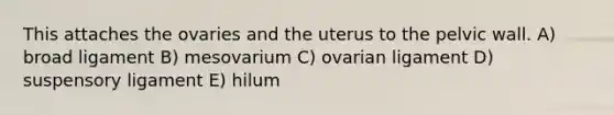 This attaches the ovaries and the uterus to the pelvic wall. A) broad ligament B) mesovarium C) ovarian ligament D) suspensory ligament E) hilum