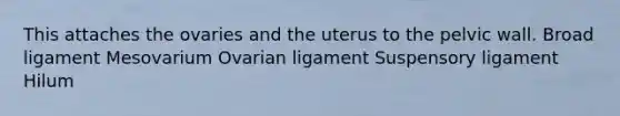 This attaches the ovaries and the uterus to the pelvic wall. Broad ligament Mesovarium Ovarian ligament Suspensory ligament Hilum