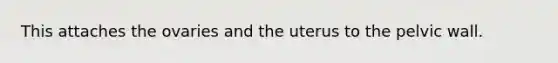 This attaches the ovaries and the uterus to the pelvic wall.