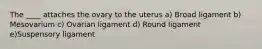 The ____ attaches the ovary to the uterus a) Broad ligament b) Mesovarium c) Ovarian ligament d) Round ligament e)Suspensory ligament