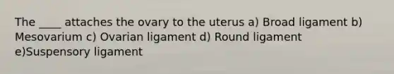 The ____ attaches the ovary to the uterus a) Broad ligament b) Mesovarium c) Ovarian ligament d) Round ligament e)Suspensory ligament