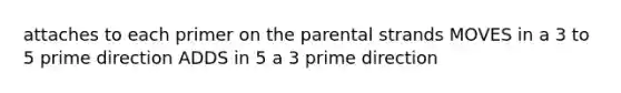 attaches to each primer on the parental strands MOVES in a 3 to 5 prime direction ADDS in 5 a 3 prime direction