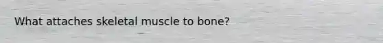 What attaches skeletal muscle to bone?