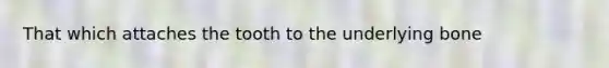 That which attaches the tooth to the underlying bone