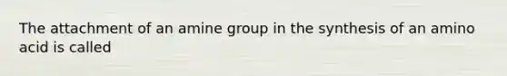 The attachment of an amine group in the synthesis of an amino acid is called