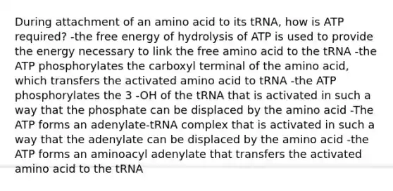 During attachment of an amino acid to its tRNA, how is ATP required? -the free energy of hydrolysis of ATP is used to provide the energy necessary to link the free amino acid to the tRNA -the ATP phosphorylates the carboxyl terminal of the amino acid, which transfers the activated amino acid to tRNA -the ATP phosphorylates the 3 -OH of the tRNA that is activated in such a way that the phosphate can be displaced by the amino acid -The ATP forms an adenylate-tRNA complex that is activated in such a way that the adenylate can be displaced by the amino acid -the ATP forms an aminoacyl adenylate that transfers the activated amino acid to the tRNA