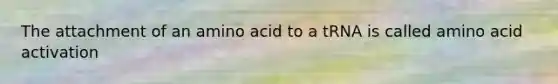 The attachment of an amino acid to a tRNA is called amino acid activation