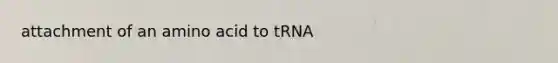 attachment of an amino acid to tRNA