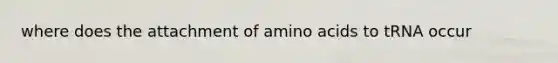 where does the attachment of amino acids to tRNA occur