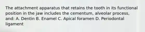 The attachment apparatus that retains the tooth in its functional position in the jaw includes the cementum, alveolar process, and: A. Dentin B. Enamel C. Apical foramen D. Periodontal ligament