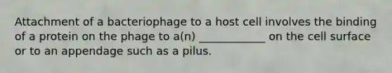 Attachment of a bacteriophage to a host cell involves the binding of a protein on the phage to a(n) ____________ on the cell surface or to an appendage such as a pilus.